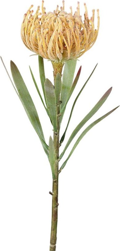 Umělá květina (výška 43 cm) Protea – Ego Dekor Ego Dekor