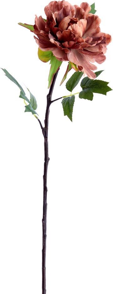 Umělá květina (výška 65 cm) Peonia – Light & Living Light & Living