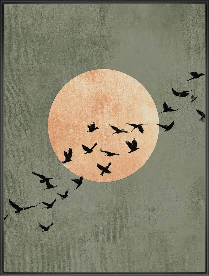 Tištěný obraz s rámem 60x80 cm Midnight Flight – Styler Styler