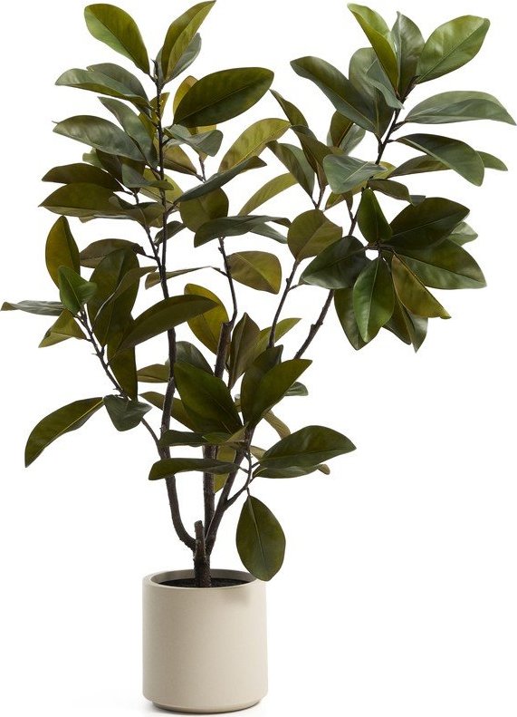 Umělá rostlina (výška 160 cm) Magnolia – Kave Home Kave Home