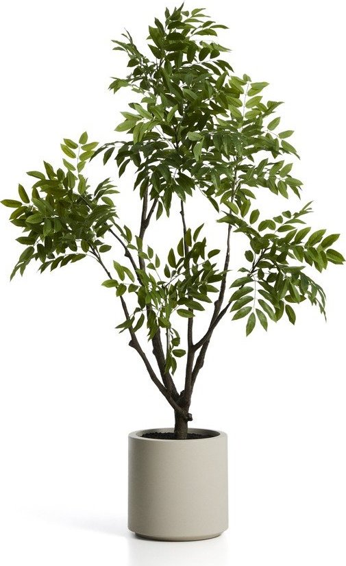 Umělá rostlina (výška 185 cm) Rhus – Kave Home Kave Home