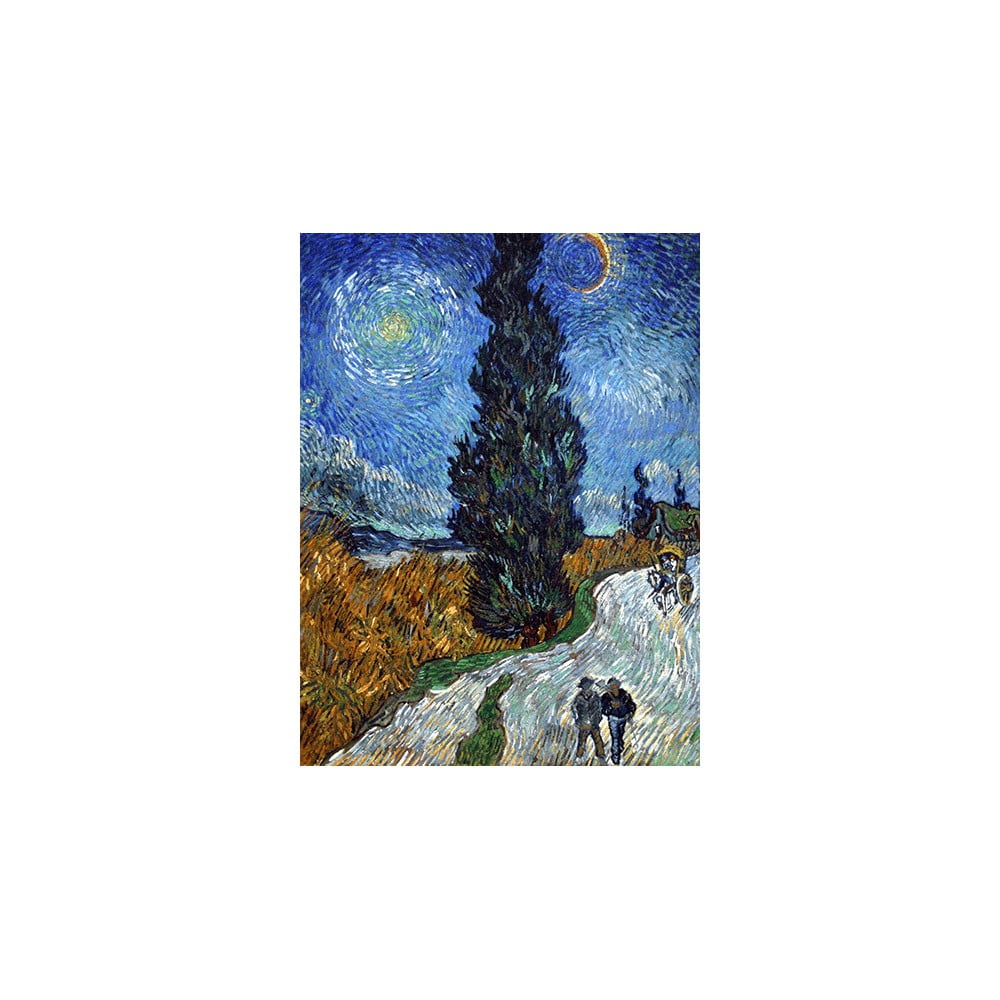 Reprodukce obrazu 45x60 cm Country road in Provence by night - Fedkolor Fedkolor
