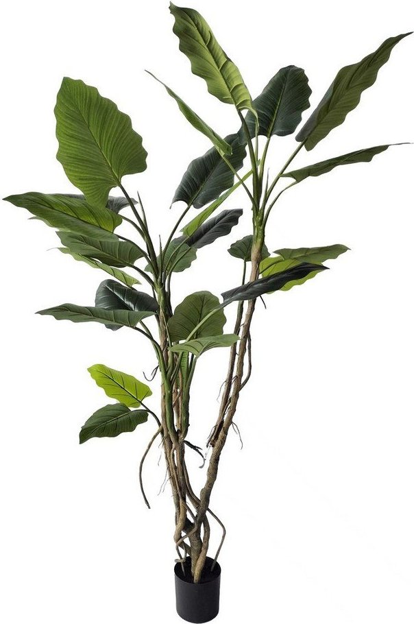 Umělá květina (výška 190 cm) Alocasia – Bizzotto Bizzotto